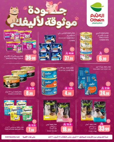 عروض طعام القطط