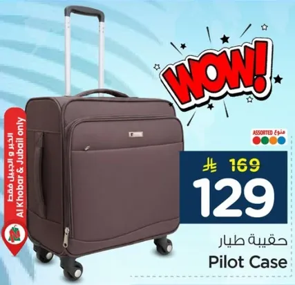 Pilot Case