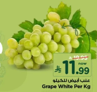 عنب ابيض للكيلو.