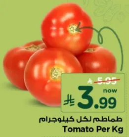 Tomato Per Kg