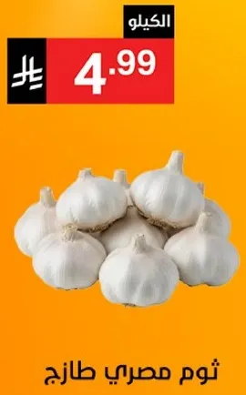 ثوم مصري طازج.
