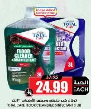 تولان كير ملطف ومطهر للارضيات 3 لتر