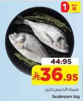 سمك الكنعد كبير