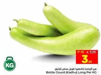 قرع زجاجي (كادهو) طويل بالكيلو