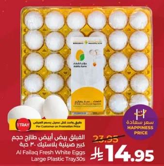 بيض ابيض طازج من الفيلق حجم كبير في صينيه بلاستيكيه 30 حبه