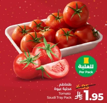 طماطم مدحله عبوه