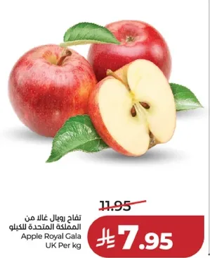 تفاح رويال غالا من المملكه المتحده للكيو.