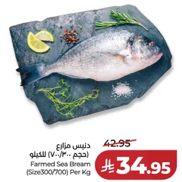 دنيـس مزارع (حجم 300/700 للكilo)