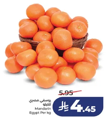 يوسفي مصري للكيو