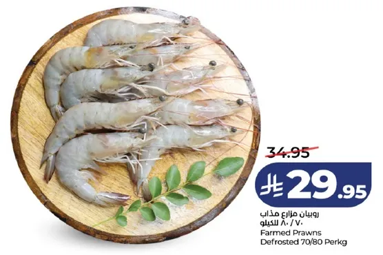 روبيان مزارع مدابغ 70/80 الكيلو