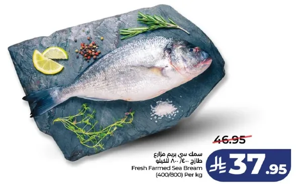 سمك سي بريم مزرع