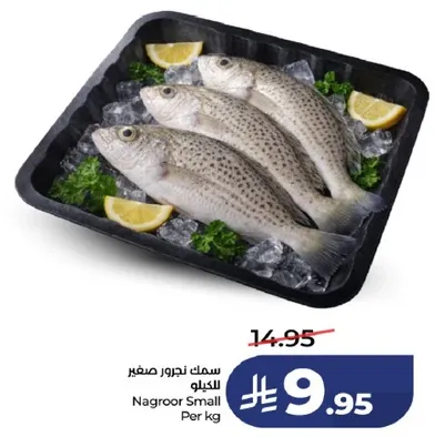 سمك نجور صغير