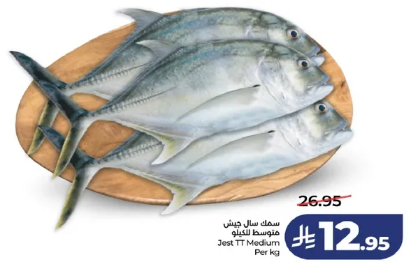 سمك سلا جينش متوسط الكيلو