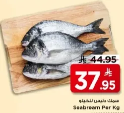 سمك دنيس للخليج