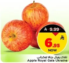 تفاح رويال جالا اوكراني