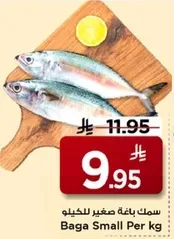 سمك باغه صغير للكيلو