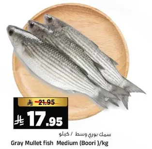 سمك بوري وسط / كيلو