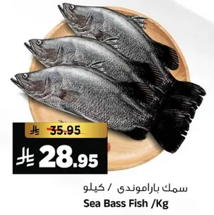 سمك باراموندي / كيلو