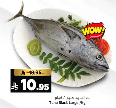 توناسود كبير /كيلو