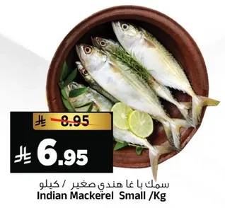 سمك با غا هندي صغير /كيلو