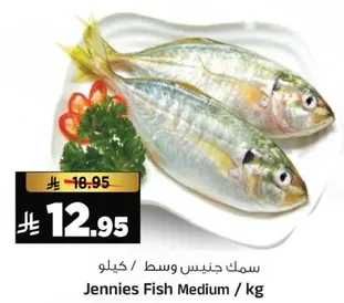 سمك جنينس وسط / كيلو