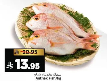 Anthek Fish/kg