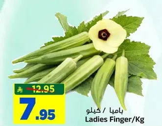 كيلو غرام من الباميه