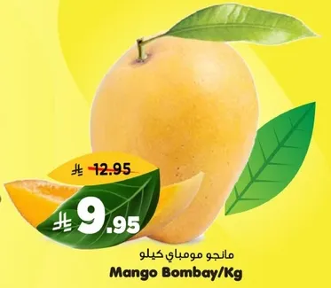 مانجو مومباي/كغ