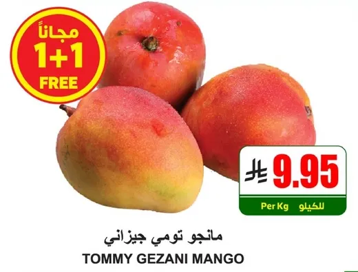 Tommy Gezani Mango