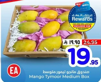 Mango Tymoor Medium Box