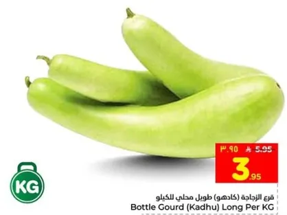 فرع الزجاجه (كادهو) طول محلي الكيلو