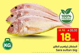 سمك السلطان ابراهيم الطازج.