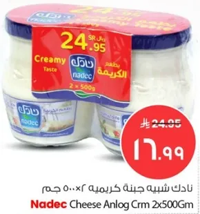 نادك شبيه جبنه كريمه 2x500 جرام