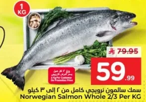 سمك سالمون نرويجي كامل من 2 الي 3 كيلو