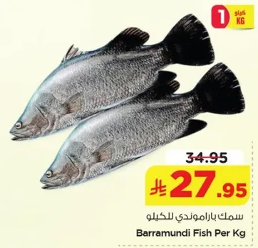 سمك باراموندي للكيلو