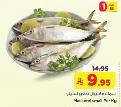 سمك ماكريل صغير للكilo