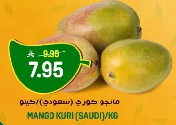 مانجو كوري (سعودي) كيلو