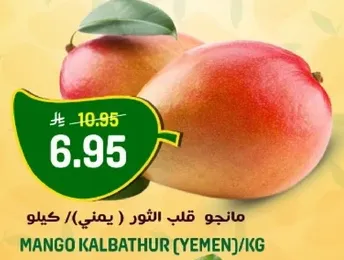 مانجو قلب الثور (يمني) / كيلو