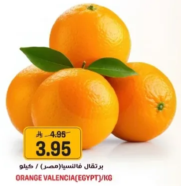 برتقال فالنشيا (مصر) / كيلو.