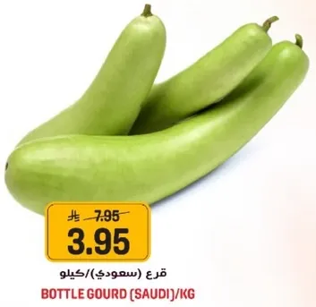 قرع (سعودي)/كيلو