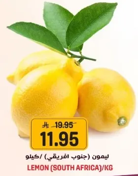 Lemon (South Africa) / kg