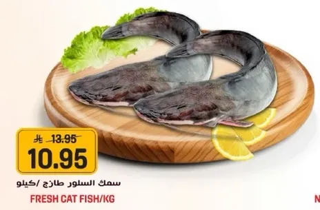 Fresh cat fish per kilogram.