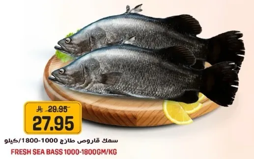 Fresh sea bass 1000-1800g/kg