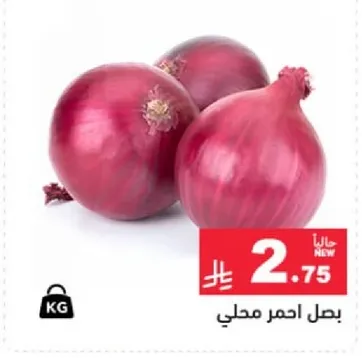 بصل احمر محلي