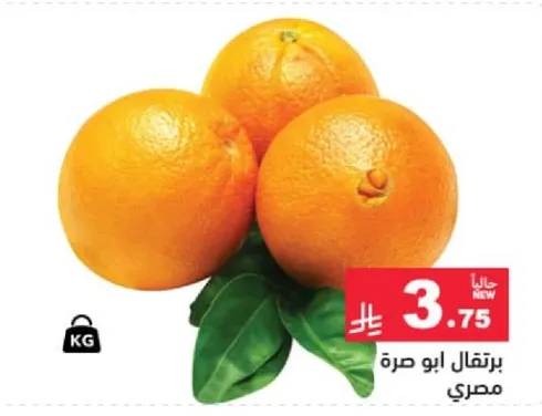 برتقال ابو صره مصري.