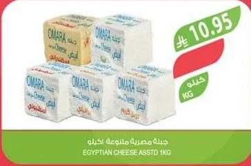 جبنه مصريه متنوعه كيلو