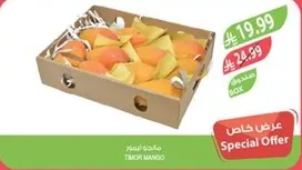 مانجو تيمور