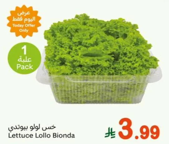 خس لولو بيوندا