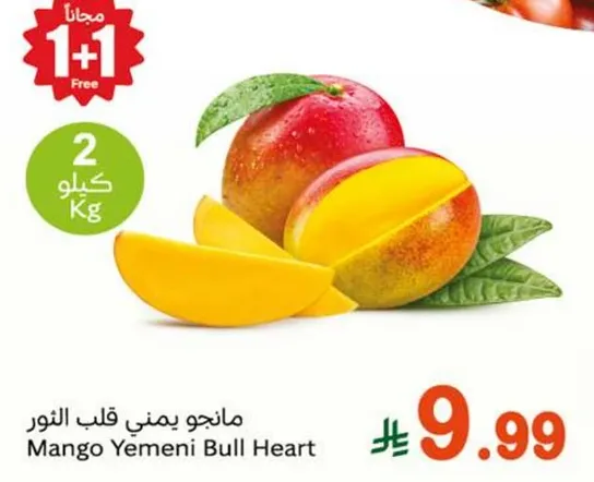 مانجو يمني قلب النور