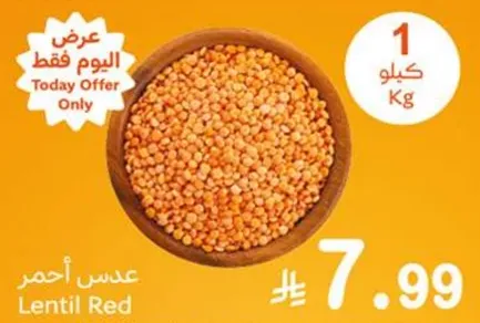 Red Lentils